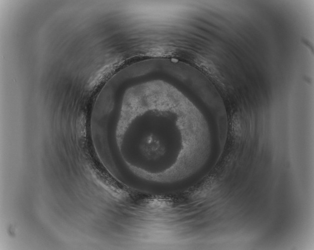 X0000102800303200808181206