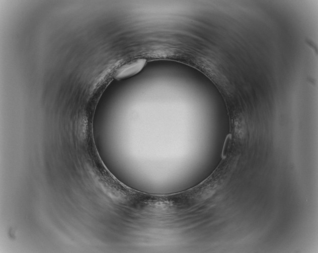 X0000102800304200808181206