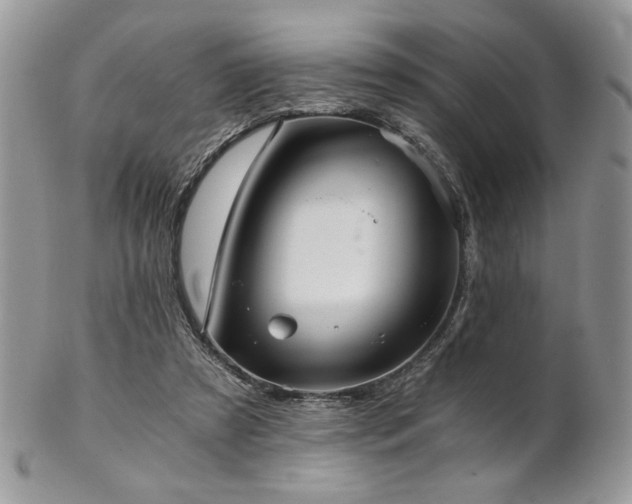 X0000102800305200808181206