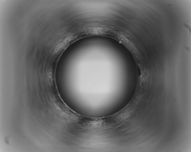 X0000102800306200808181206