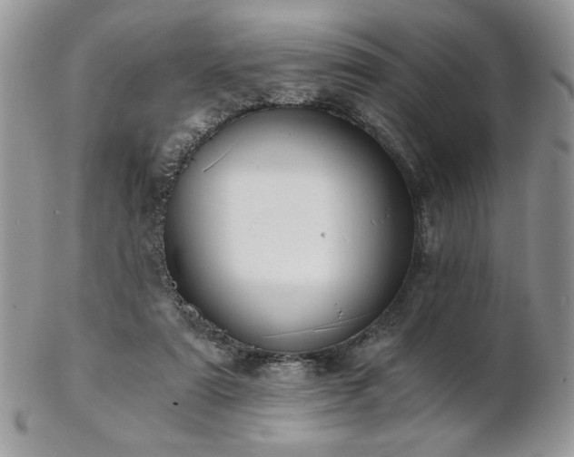 X0000102800307200808181206