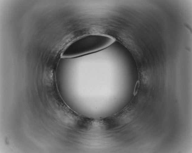 X0000102800308200808181206