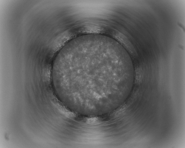 X0000102800309200808181206