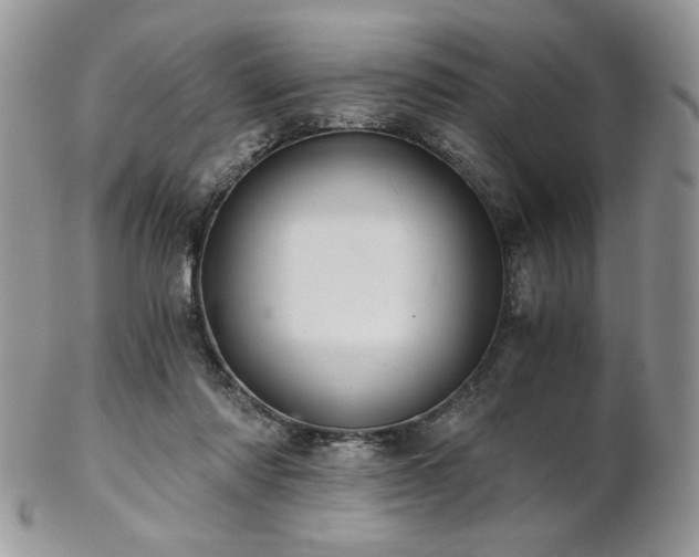 X0000102800310200808181206