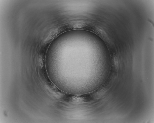 X0000102800311200808181206