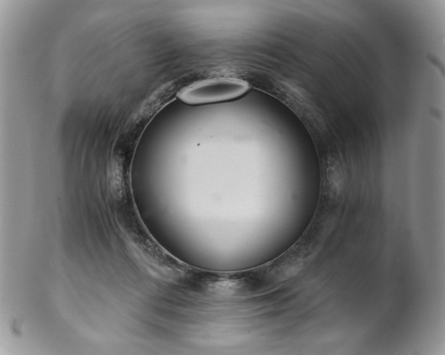 X0000102800312200808181206