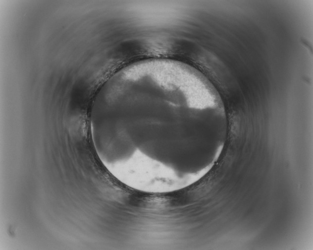 X0000102800313200808181206