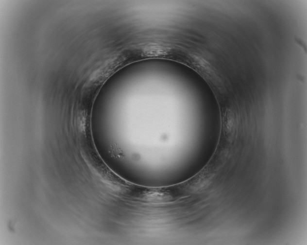 X0000102800315200808181206