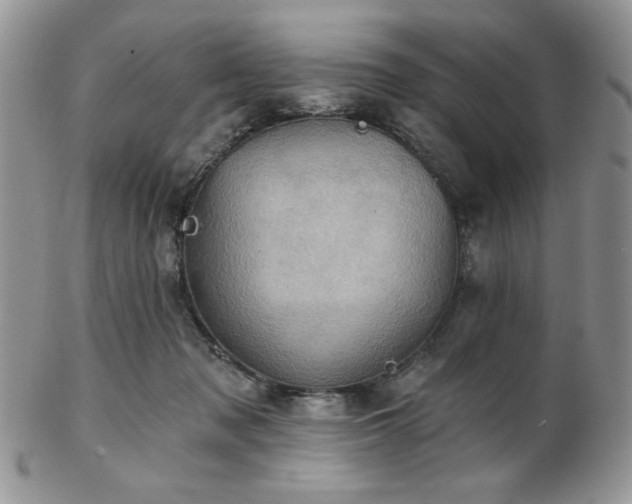 X0000102800317200808181206