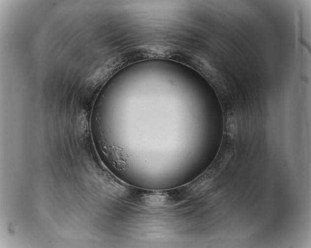 X0000102800318200808181206