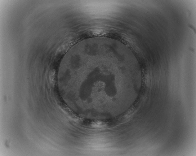 X0000102800319200808181206