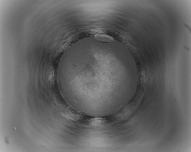 X0000102800320200808181206
