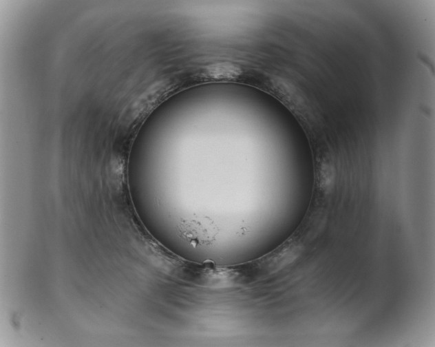 X0000102800321200808181206