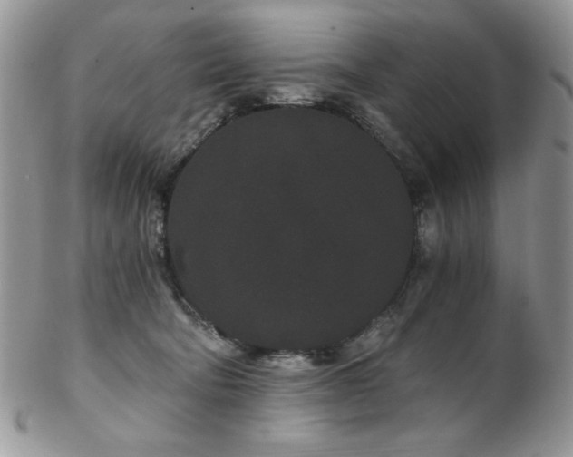 X0000102800322200808181206