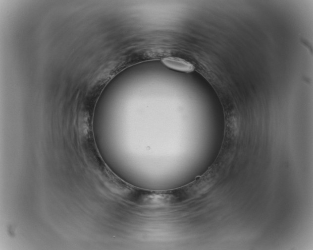 X0000102800323200808181206