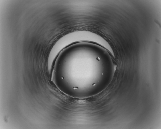X0000102800324200808181206