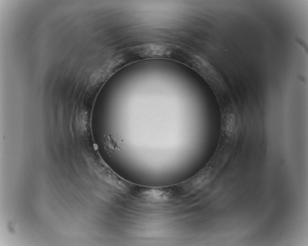 X0000102800326200808181206