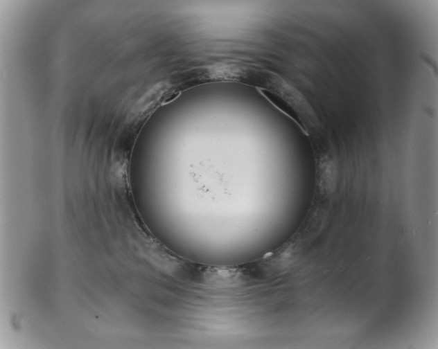 X0000102800329200808181206