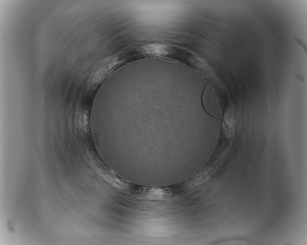 X0000102800330200808181206