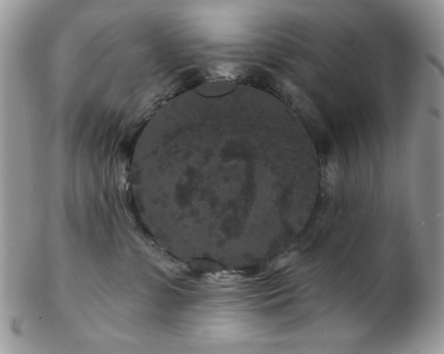 X0000102800331200808181206