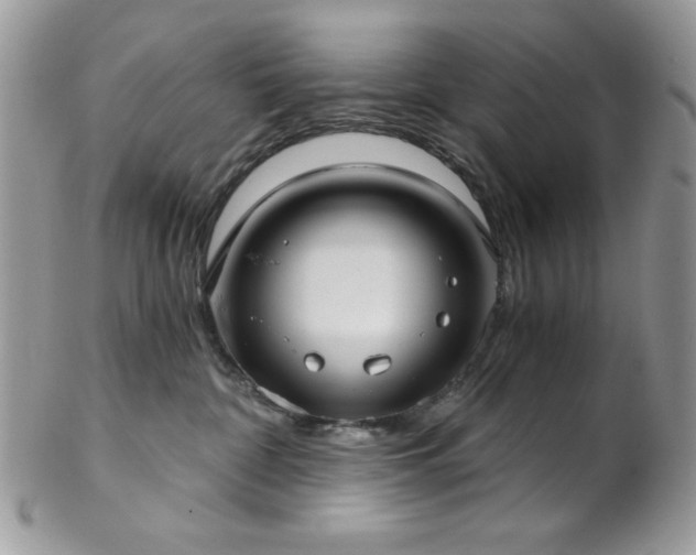 X0000102800332200808181206