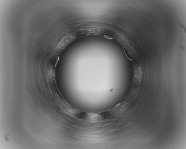 X0000102800333200808181206