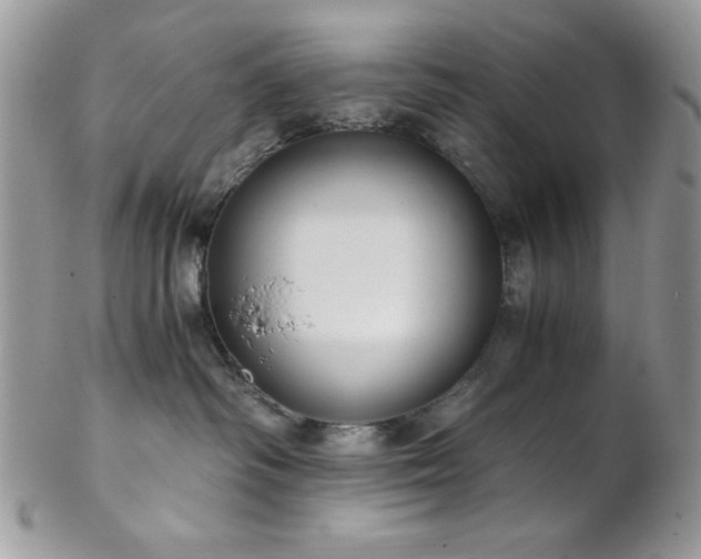X0000102800334200808181206