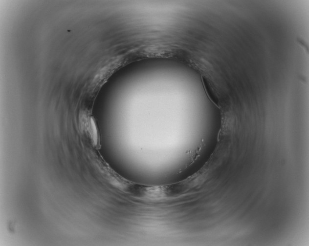 X0000102800335200808181206