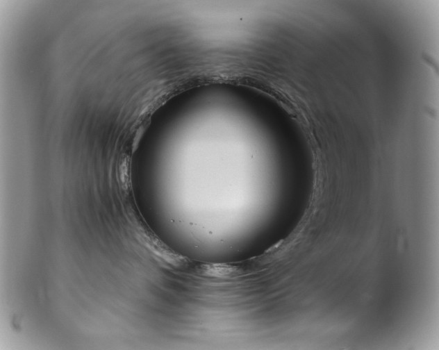 X0000102800336200808181206