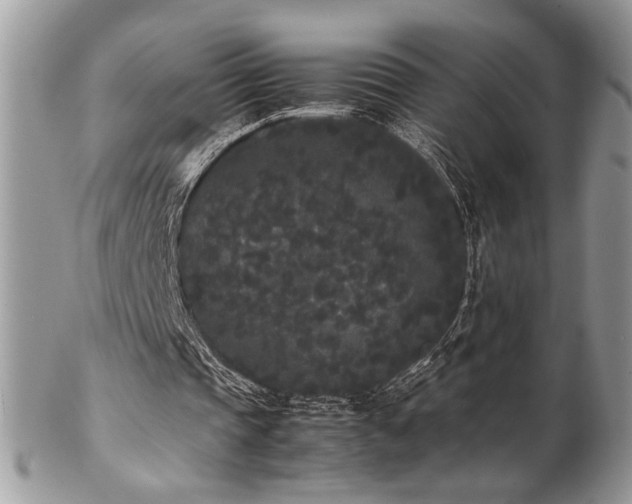 X0000102800337200808181205