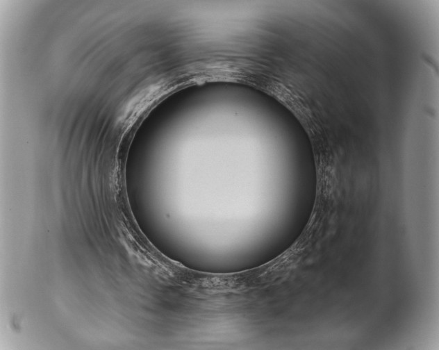X0000102800338200808181205