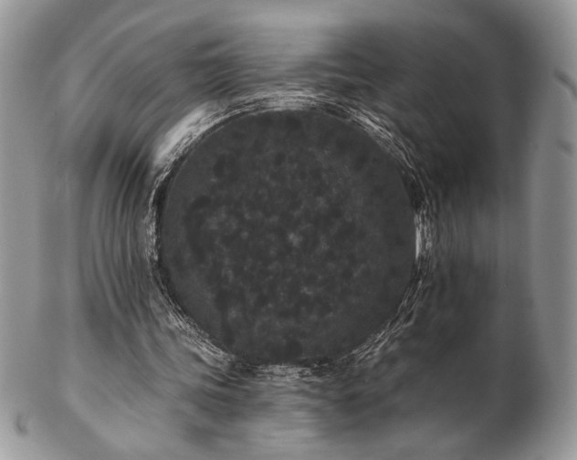 X0000102800339200808181205