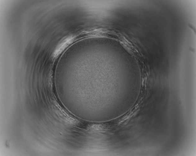 X0000102800341200808181205