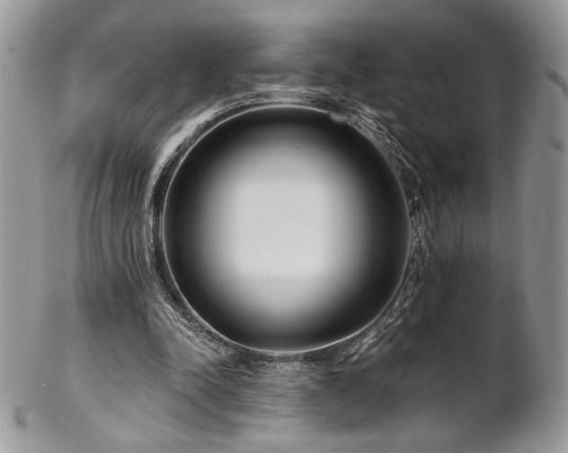X0000102800342200808181205
