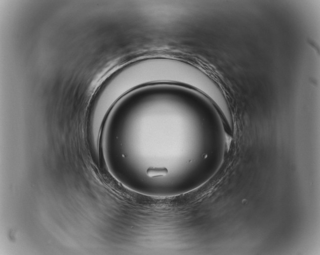 X0000102800344200808181205