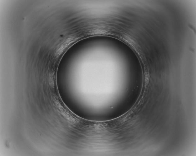 X0000102800345200808181205