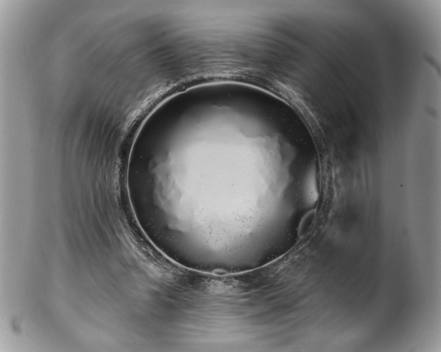 X0000102800346200808181205