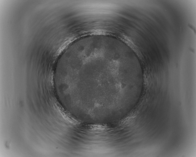 X0000102800347200808181205