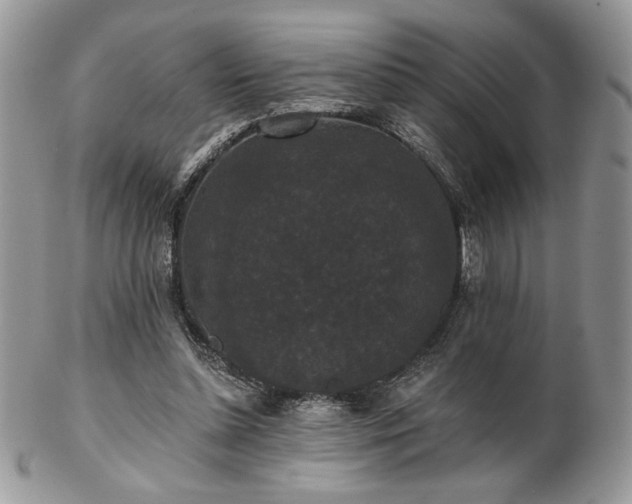X0000102800348200808181205