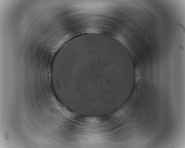 X0000102800349200808181205