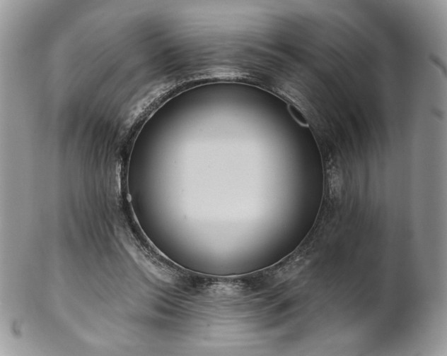 X0000102800350200808181206