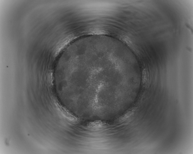 X0000102800351200808181206