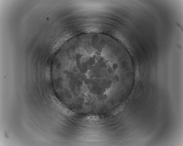 X0000102800353200808181206