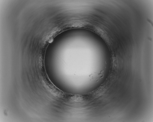 X0000102800354200808181206
