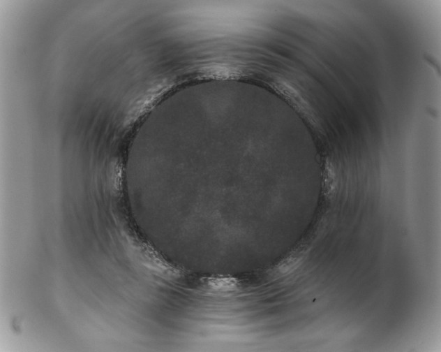 X0000102800355200808181206