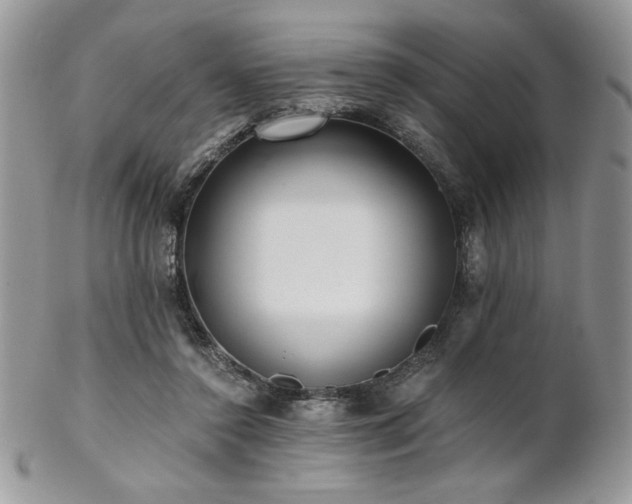 X0000102800356200808181206