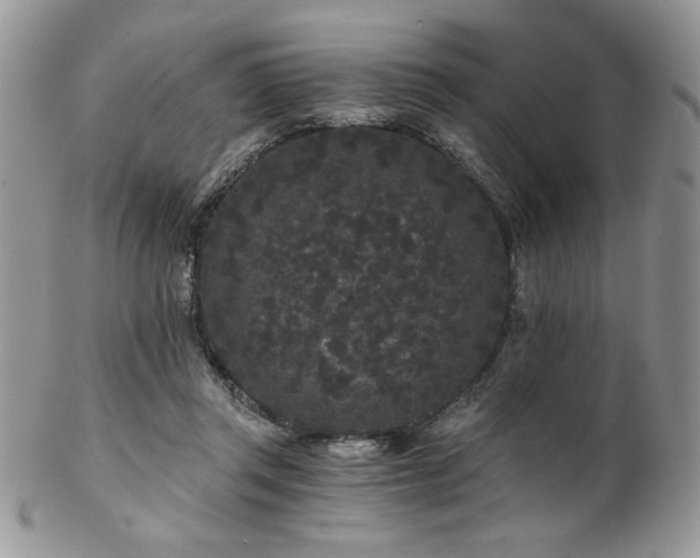 X0000102800357200808181206