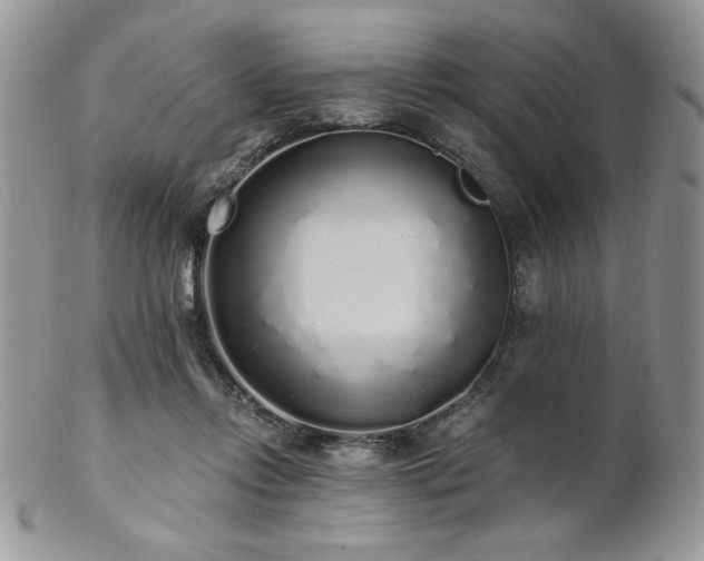 X0000102800358200808181206