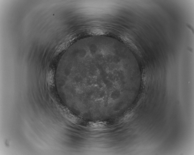 X0000102800359200808181206