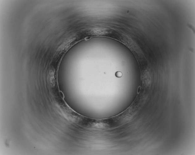 X0000102800360200808181206